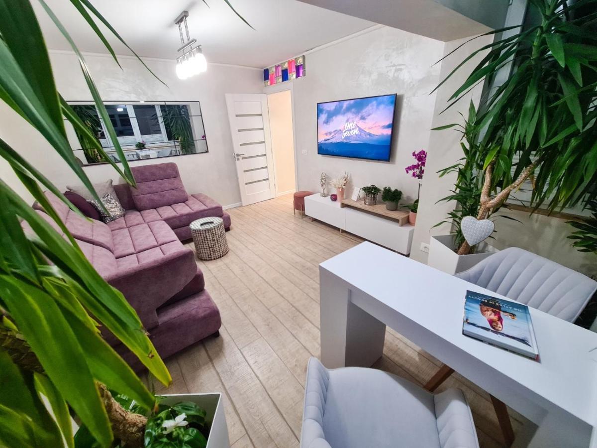 Elisa'S Place Făgăraş Zewnętrze zdjęcie
