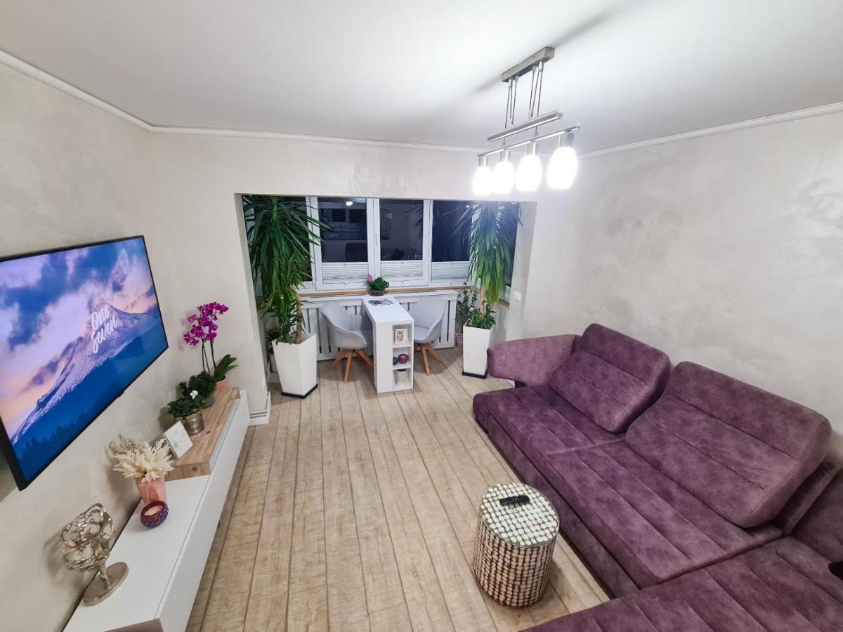 Elisa'S Place Făgăraş Zewnętrze zdjęcie