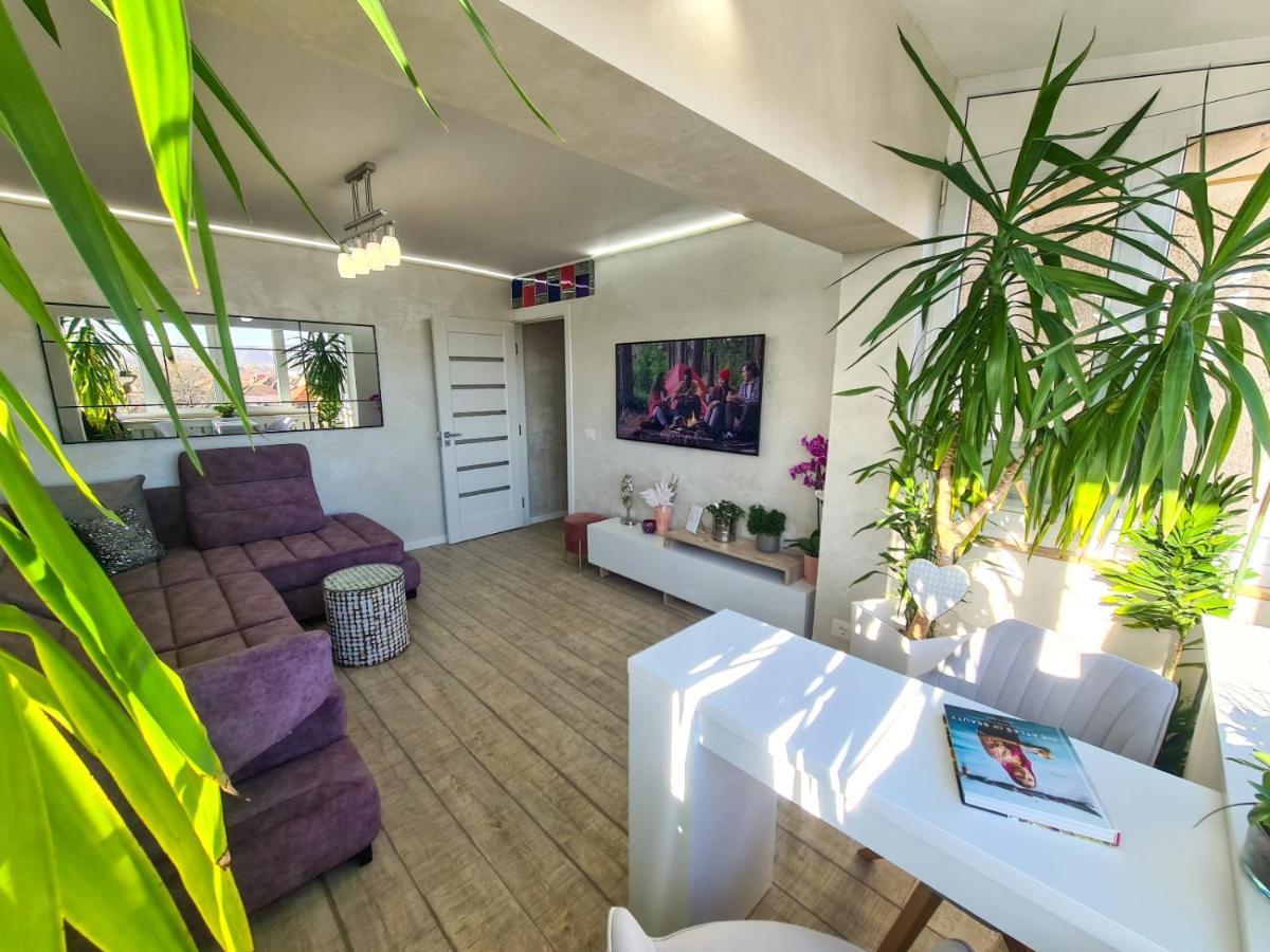 Elisa'S Place Făgăraş Zewnętrze zdjęcie